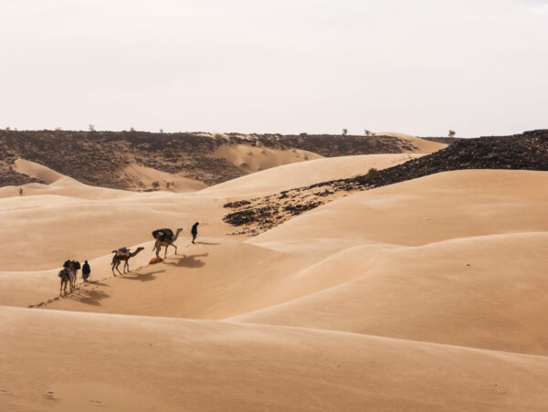 Paiement - Traversée du désert vers la joie - Mauritanie