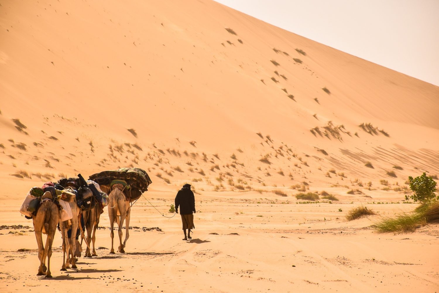 mauritanie-desert-voyage-spirituel-meditation