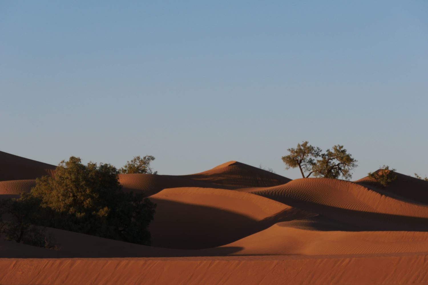 Passage 2024 dans le désert vers la Joie MAROC