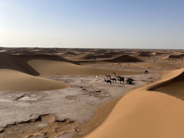 PAIEMENT - En quête d’une paix après la perte, dans le désert<br>Maroc Véronique Le Sage