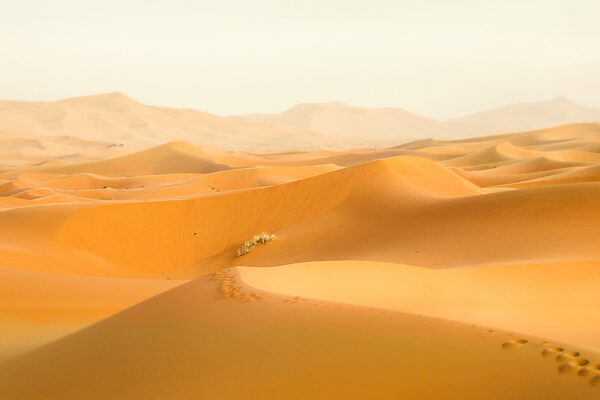 PAIEMENT - Sur les pas du Petit Prince<br>Maroc