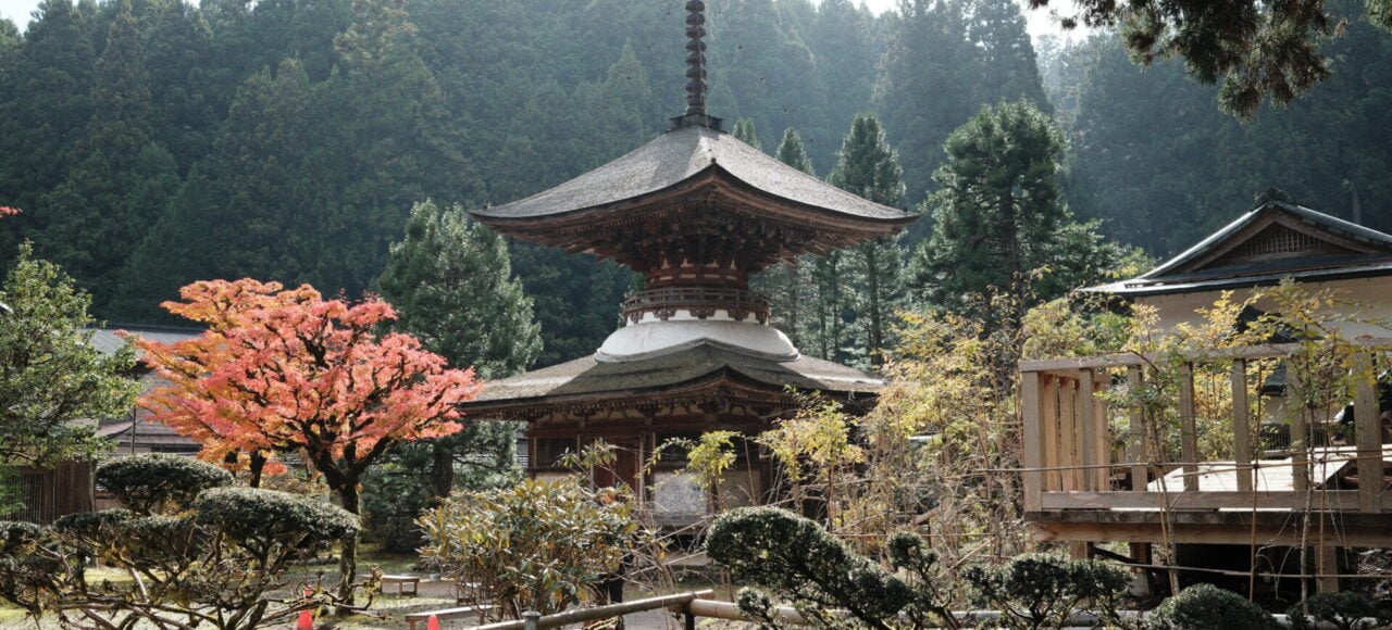 DSCF1533