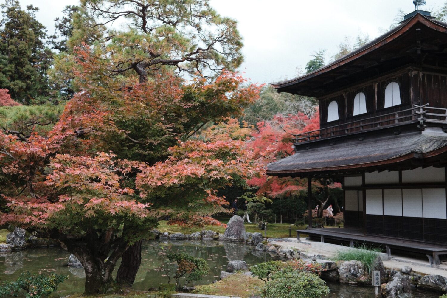 Japon automne koyo (2)