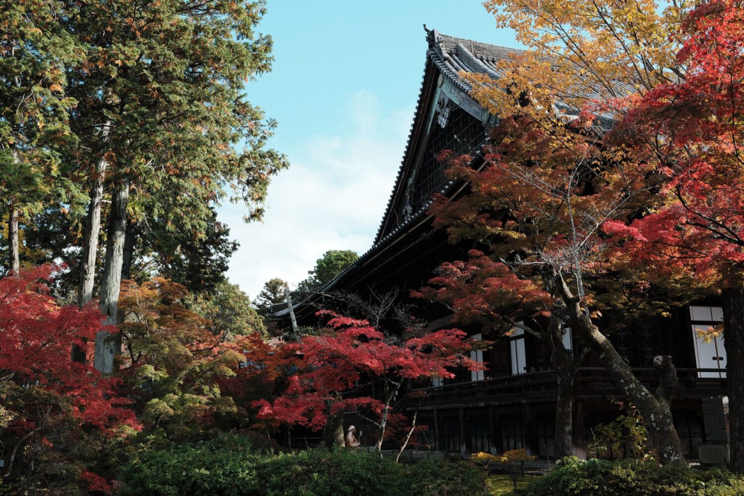 Japon automne koyo (4)
