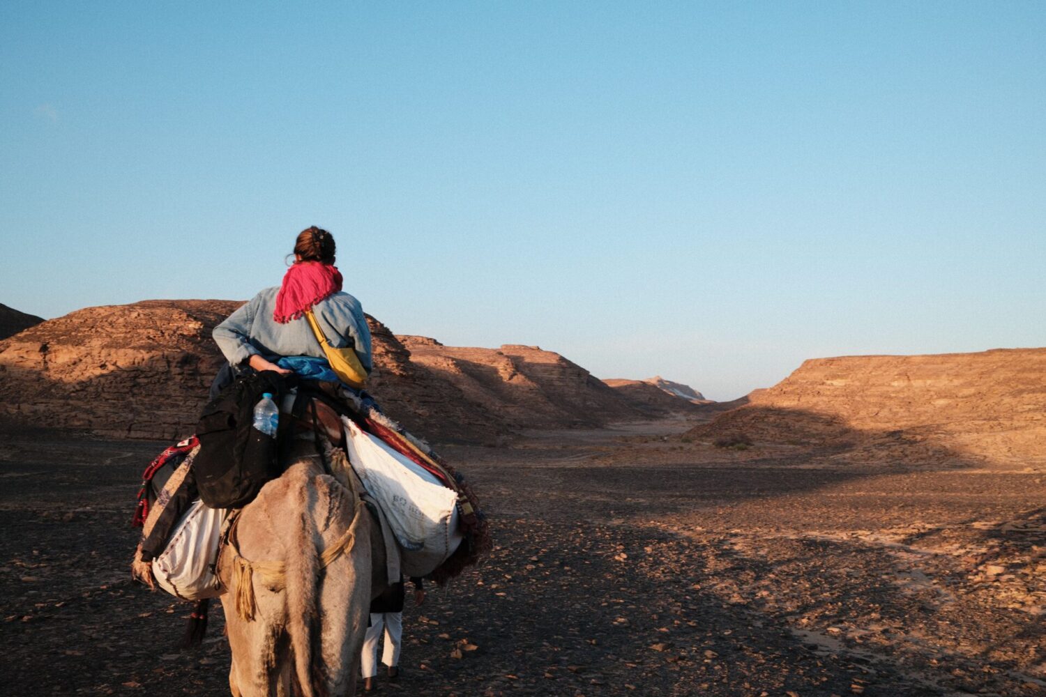 Egypte désert Sinaï (16)