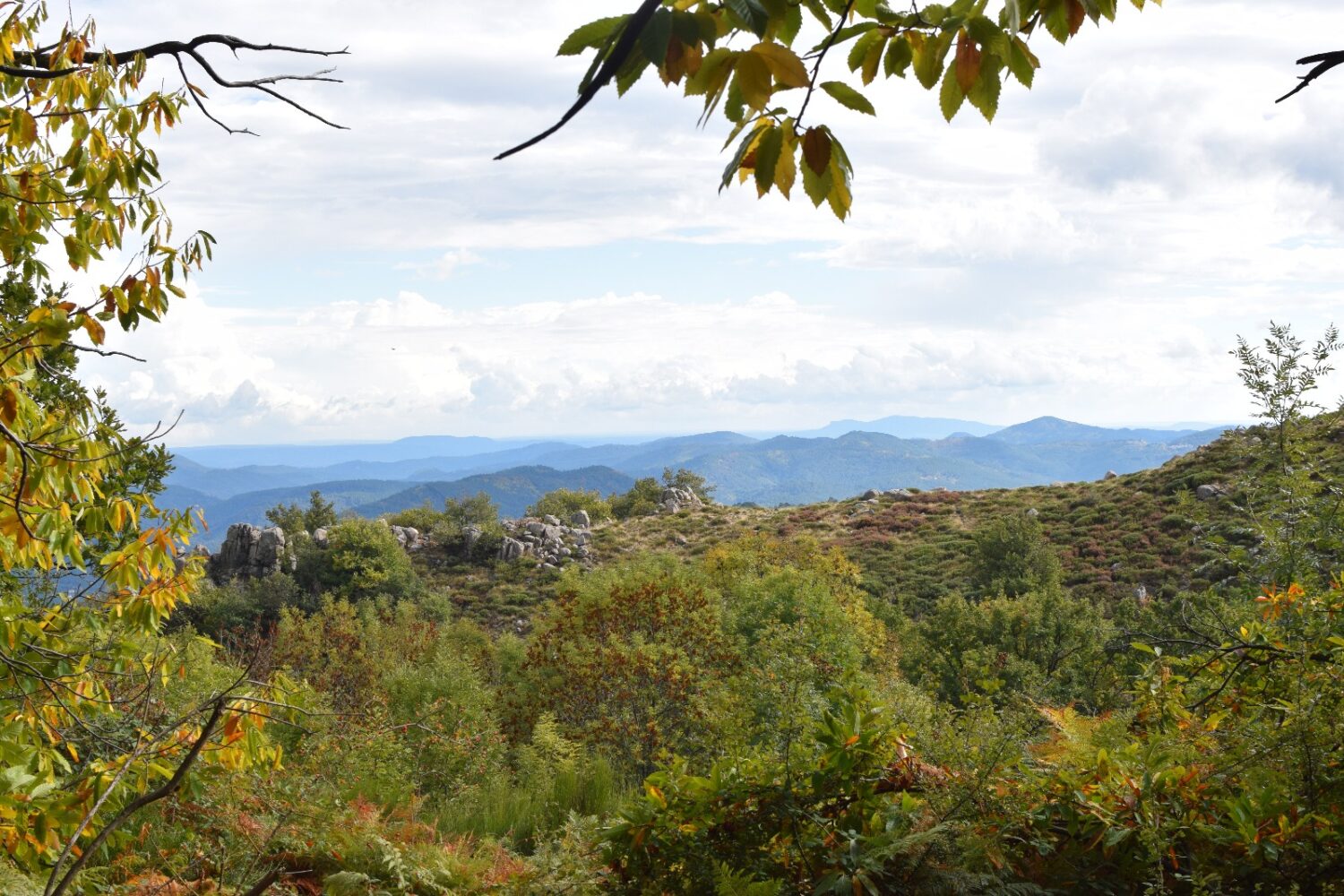 Cevennes Mas nouveau (3)