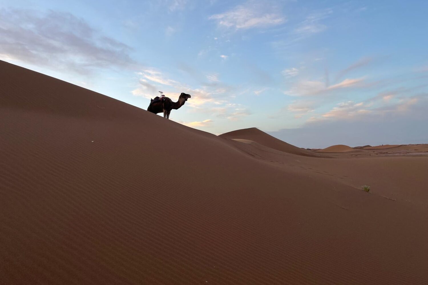 desert maroc blanche (1)