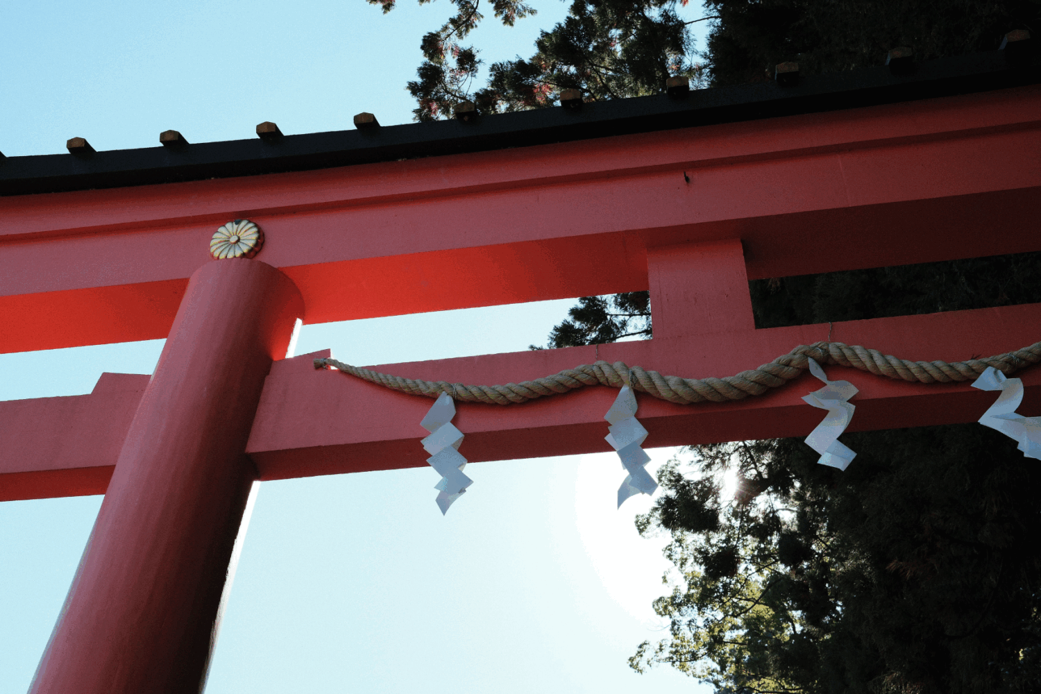 Japon printemps (4)