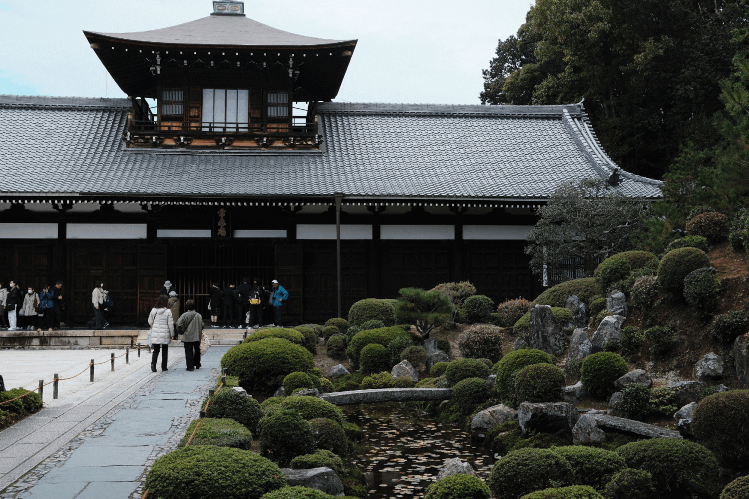 Japon printemps (5)