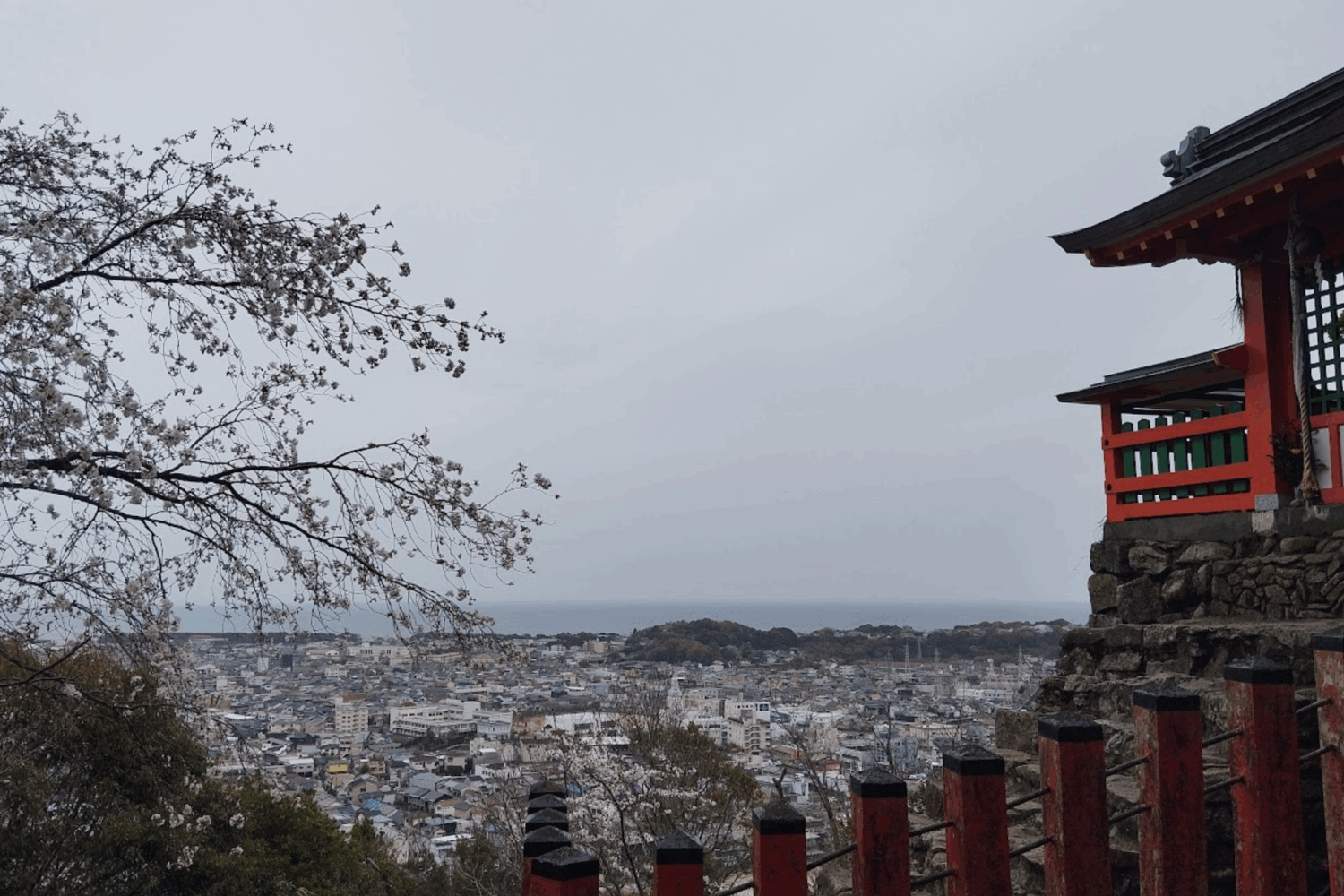 Japon printemps Evi 2024 (5)