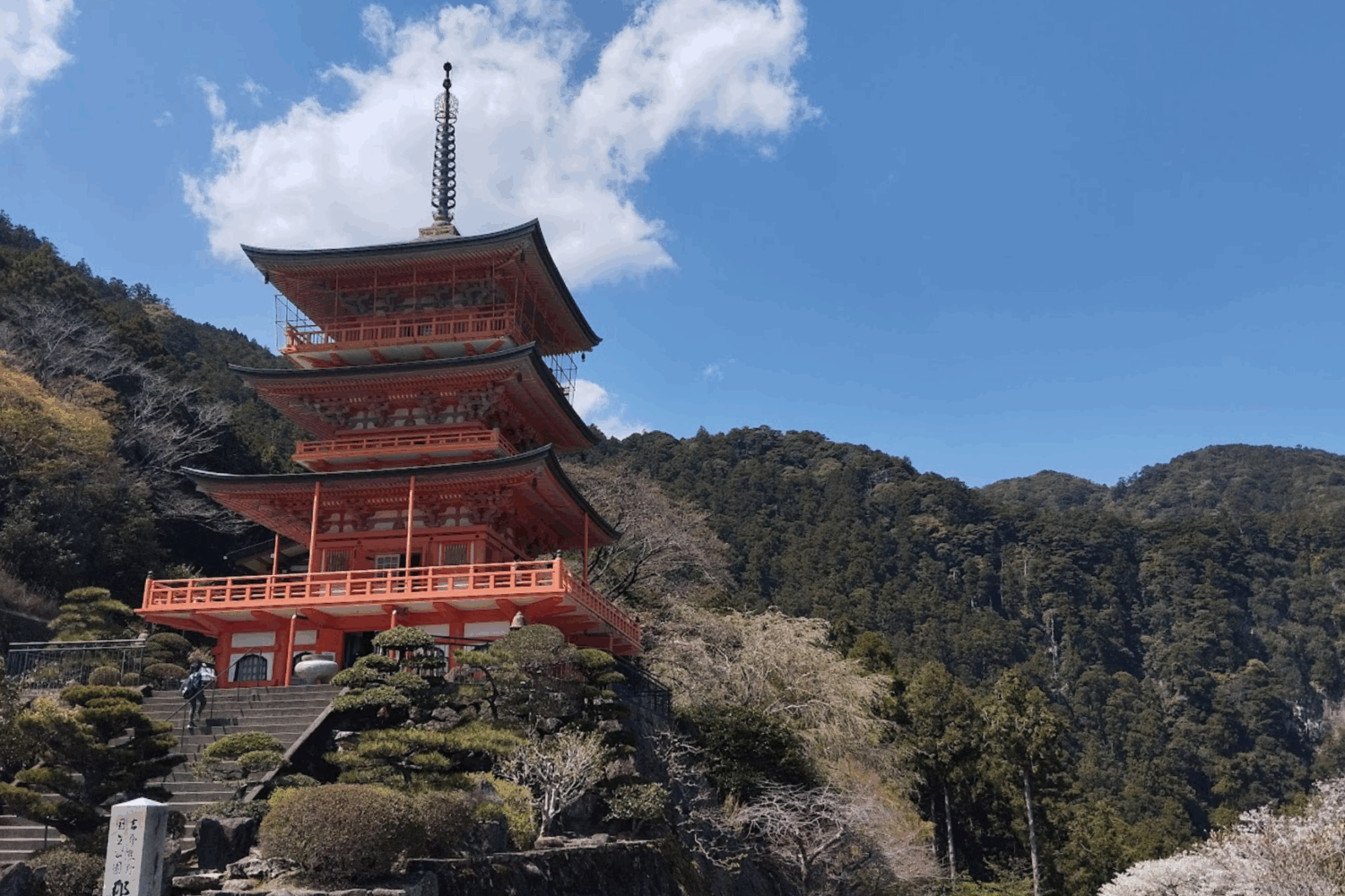 Japon printemps Evi 2024 (6)